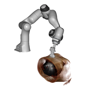 Robot-held ultrasound probe scanning along a planned trajectory