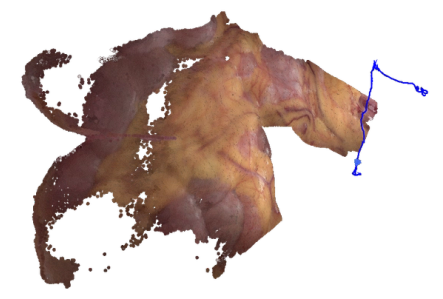 3D endoscopic stereo SLAM reconstruction