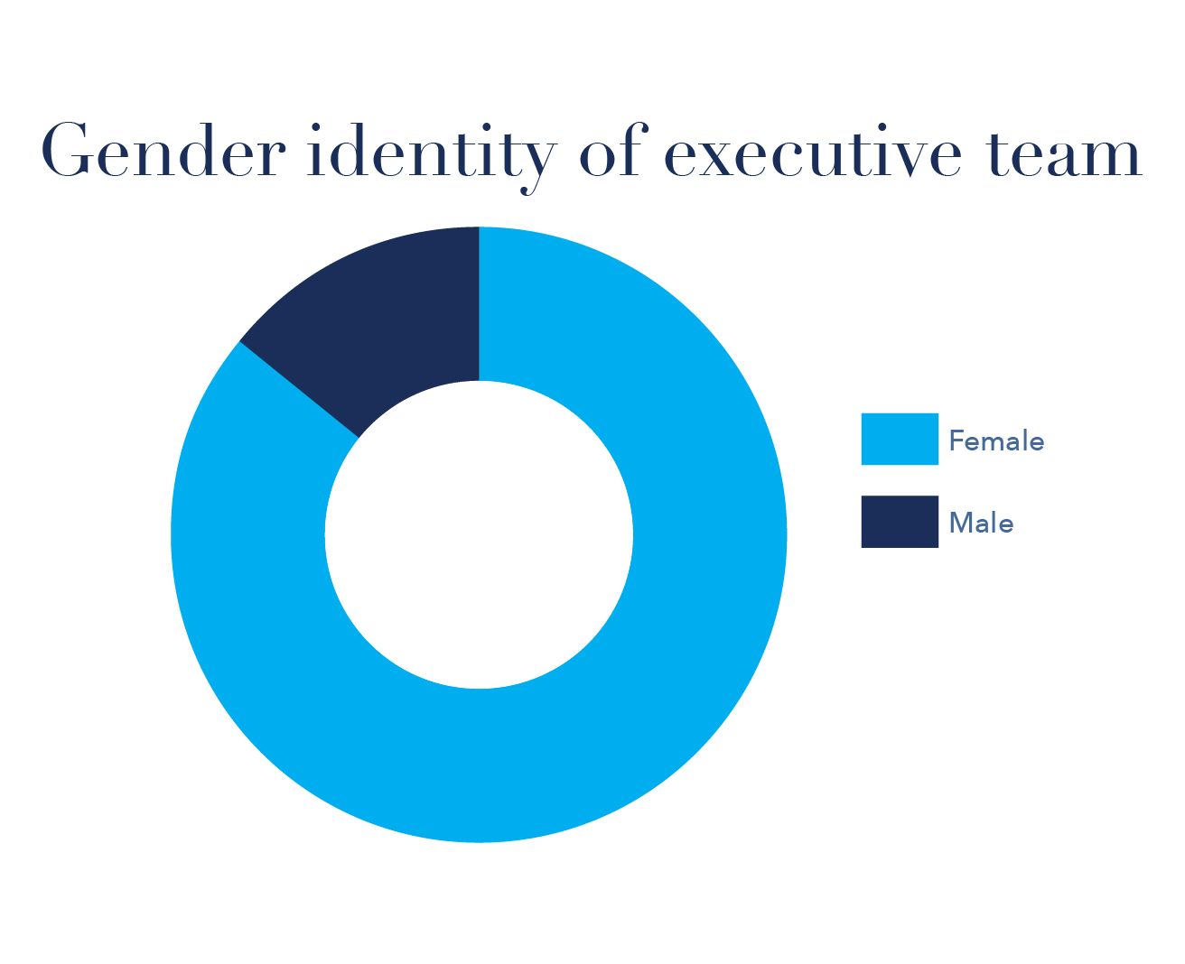Gender identity of executive team