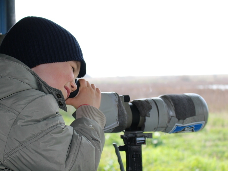 La Réserve Naturelle du Marais d’Yves