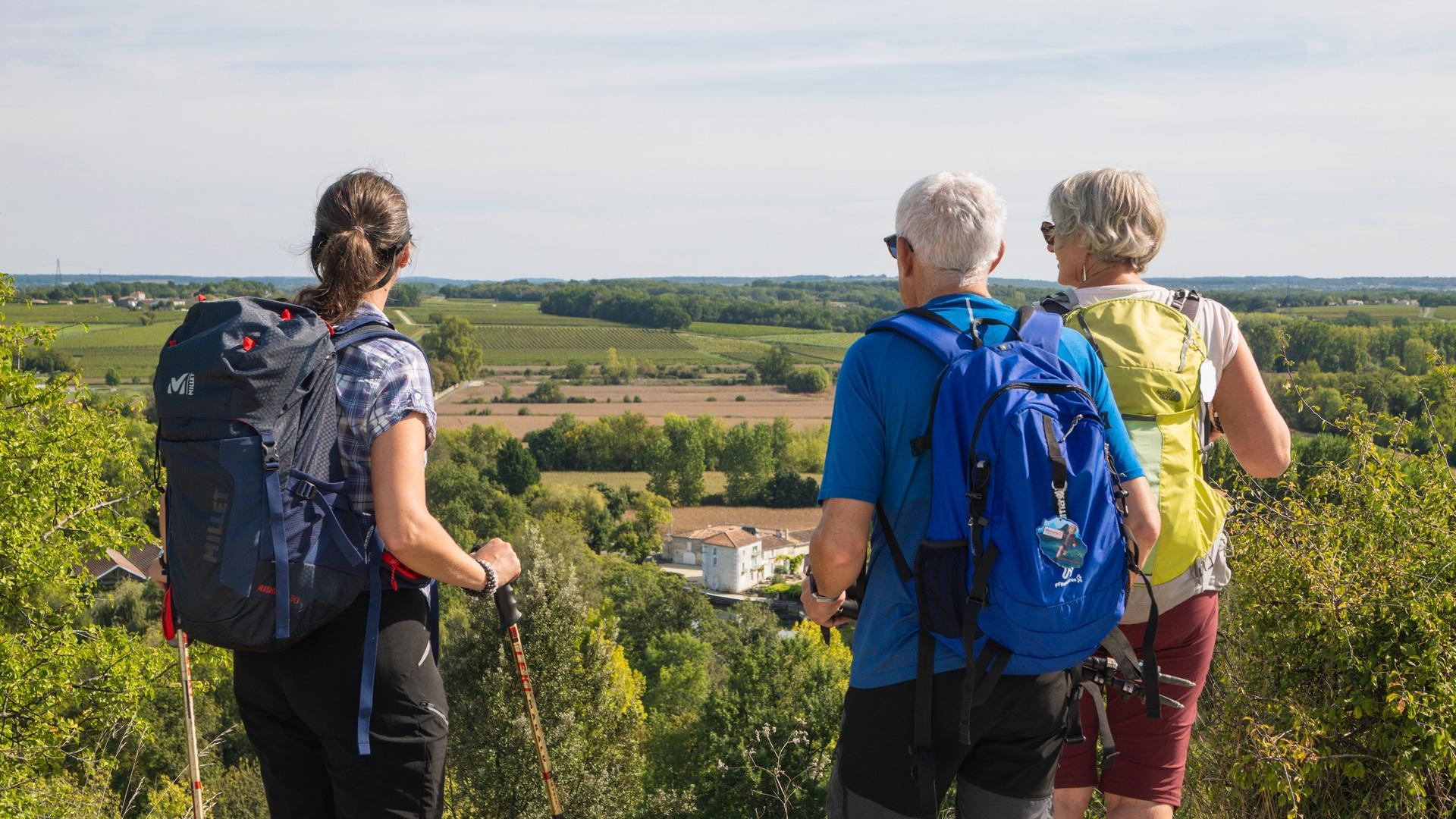 Villages de Pierres et de Vignes en Charente
