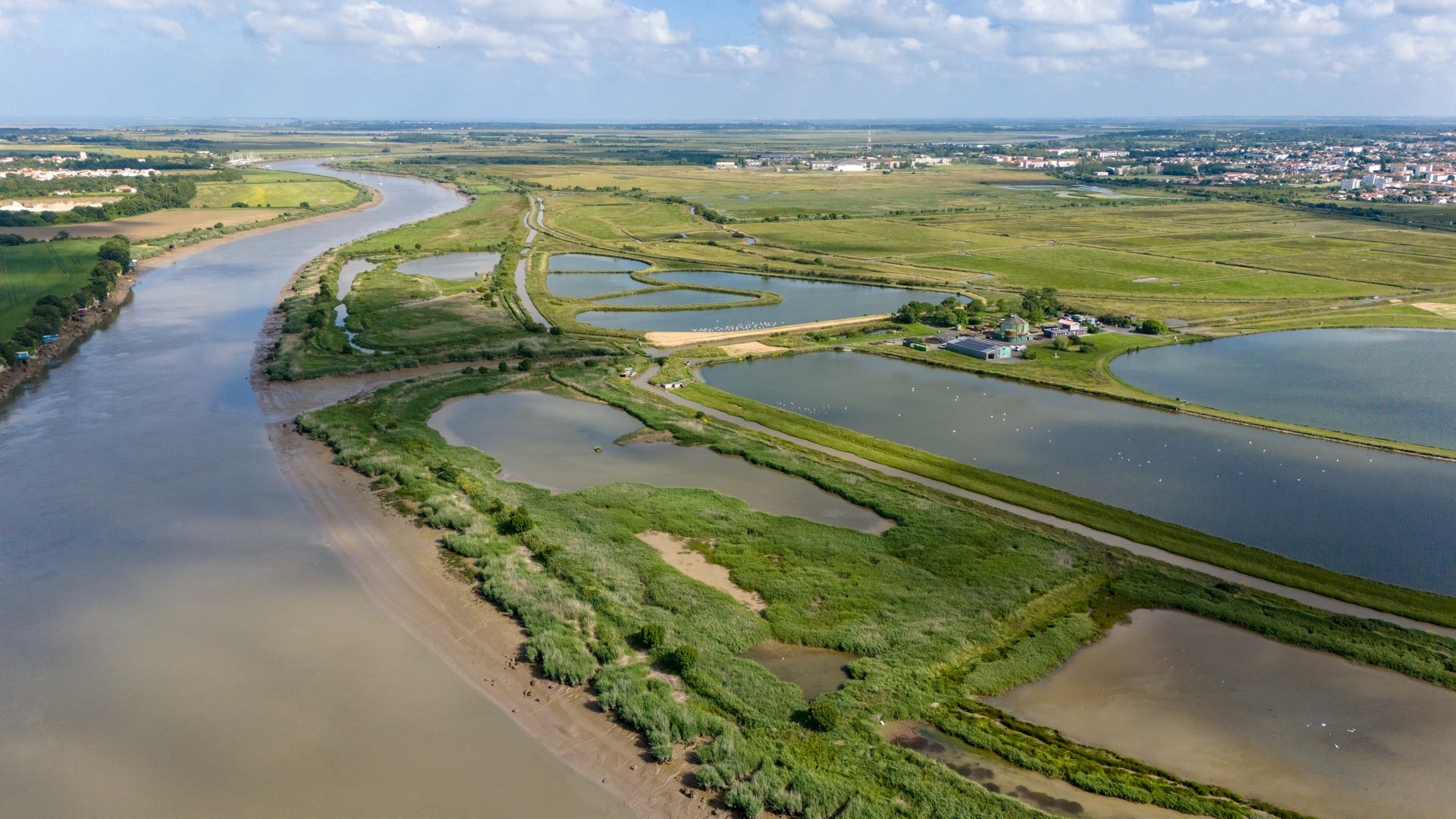 LPO : à la rencontre de la biodiversité en Charentes