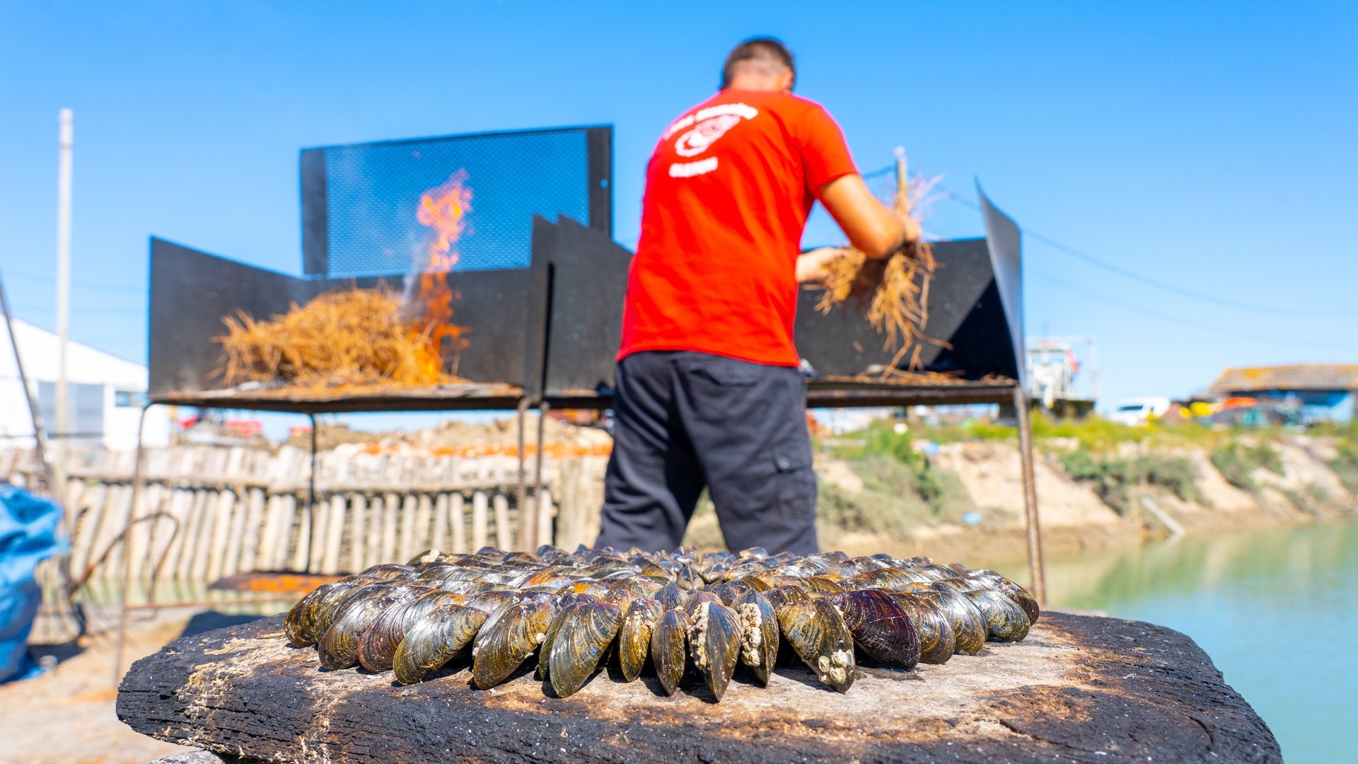 Préparation d'une éclade de moules