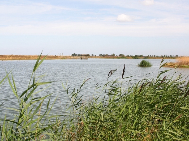 Site de Vitrezay, Saint-Sorlin-de-Conac
