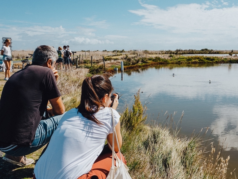 La Réserve Naturelle de Lilleau des Niges, Les Portes-en-Ré