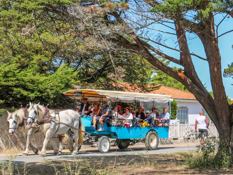 Balade en calèche, Île d'Aix