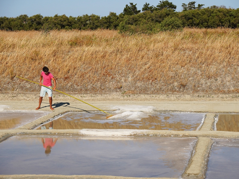 L’Écomusée du Marais Salant, Loix