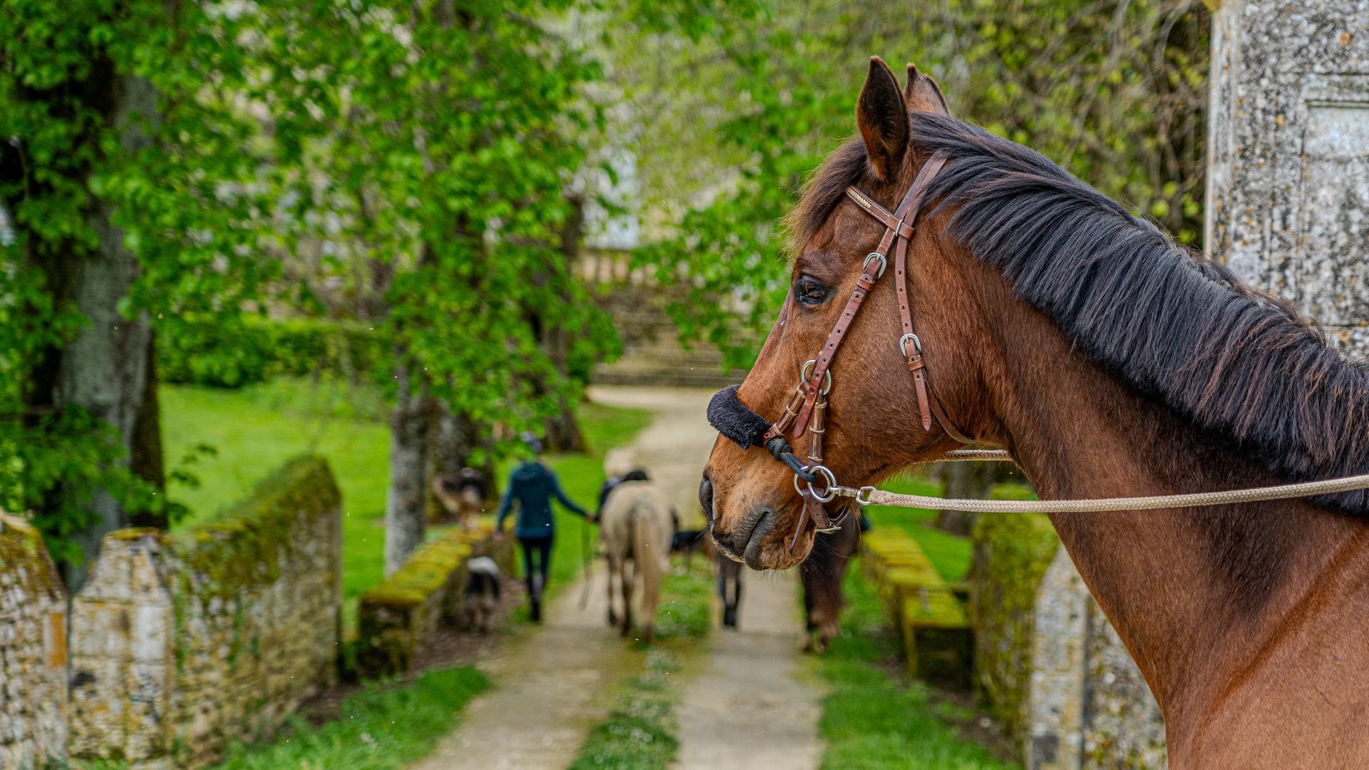 A Cheval sur la route des Cardinaux