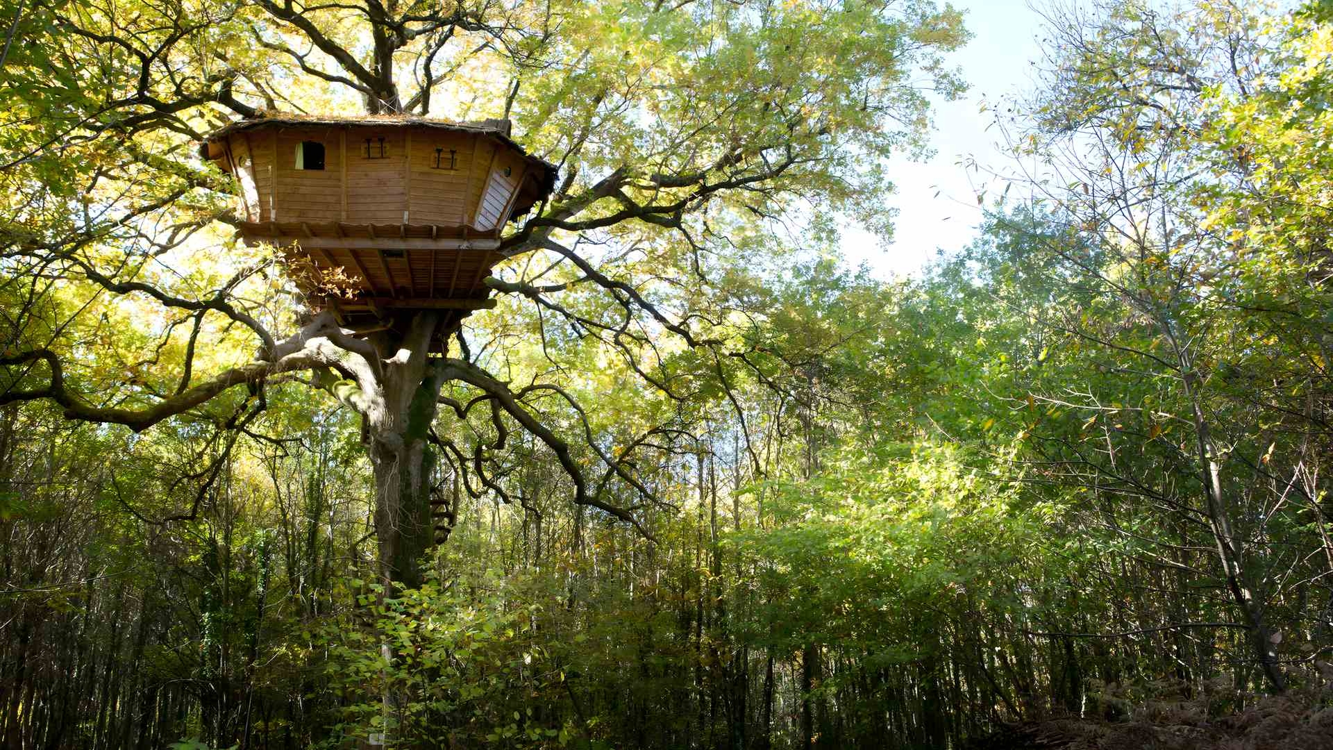 Cabane de Bois-Charmant, Les Nouillers
