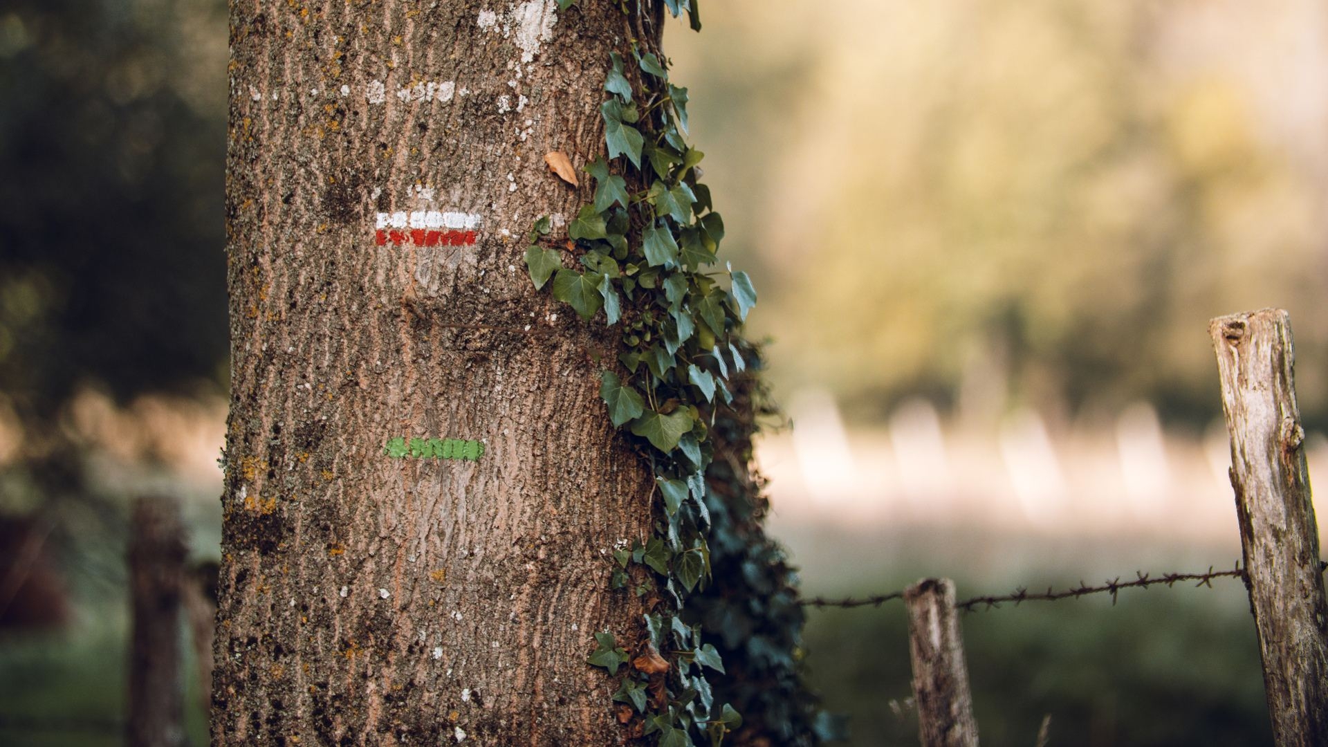 Les chemins de Grande Randonnée en Charentes