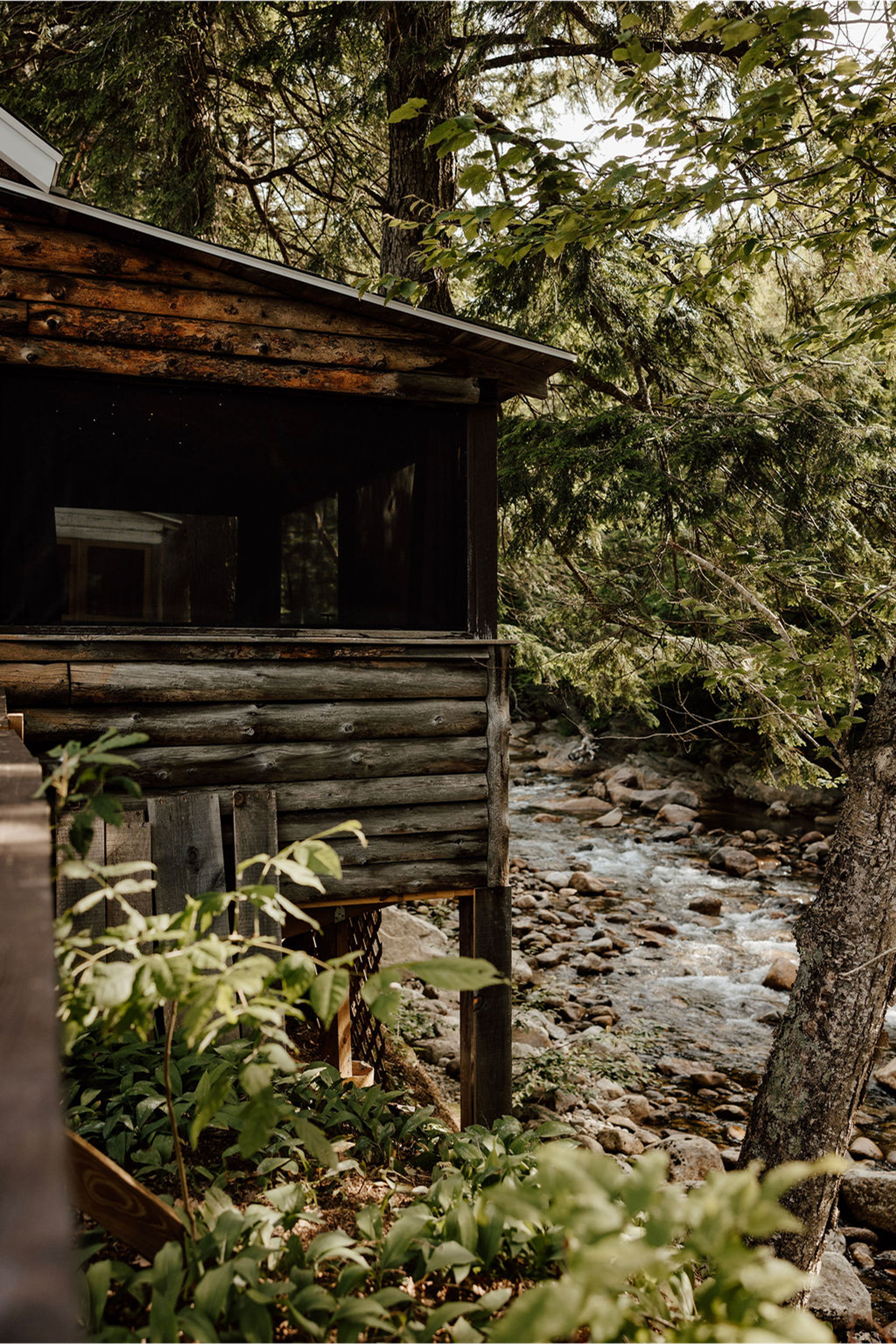 Cabin 5