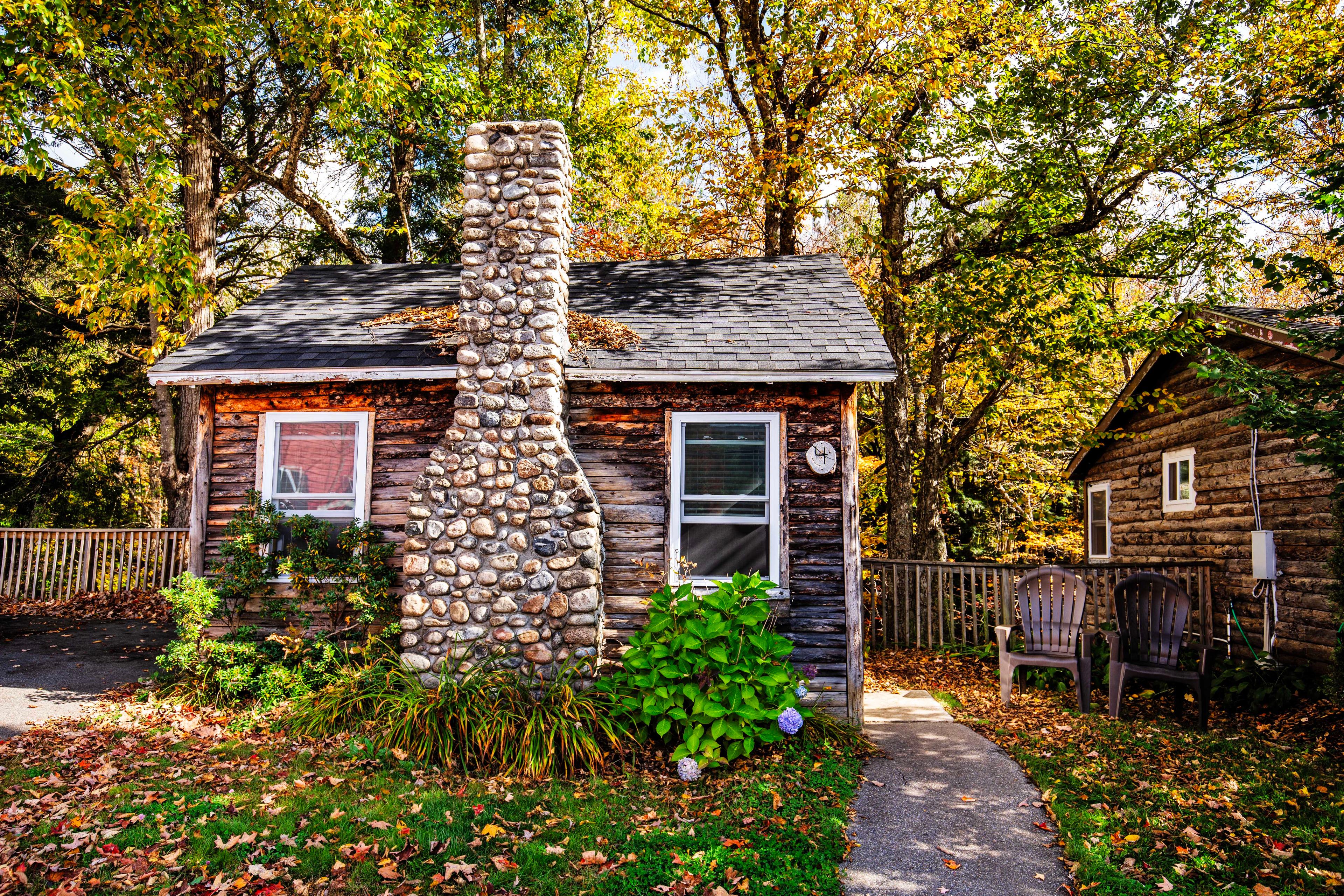 Cabin 4 - Deer haven