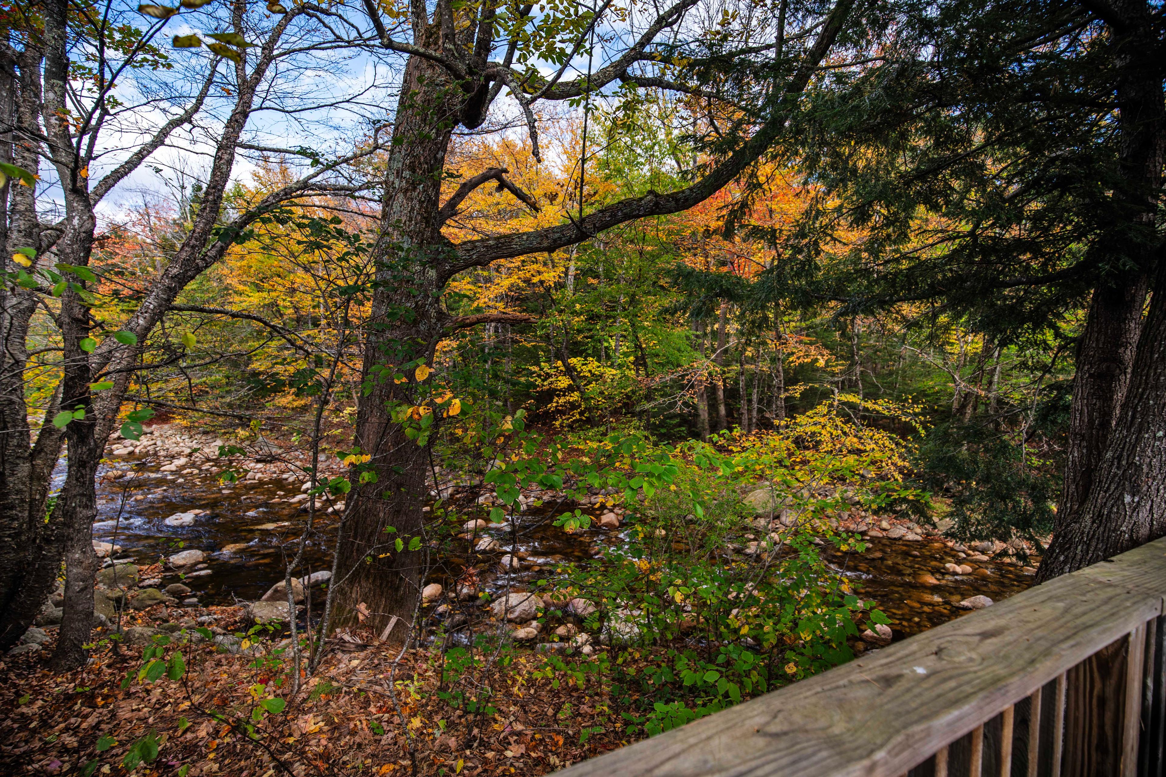 Escape to nature with rustic charm at Mount Lincoln cabin. #PemiCabins #PemigewassetRiver #RusticCabin #LincolnNH