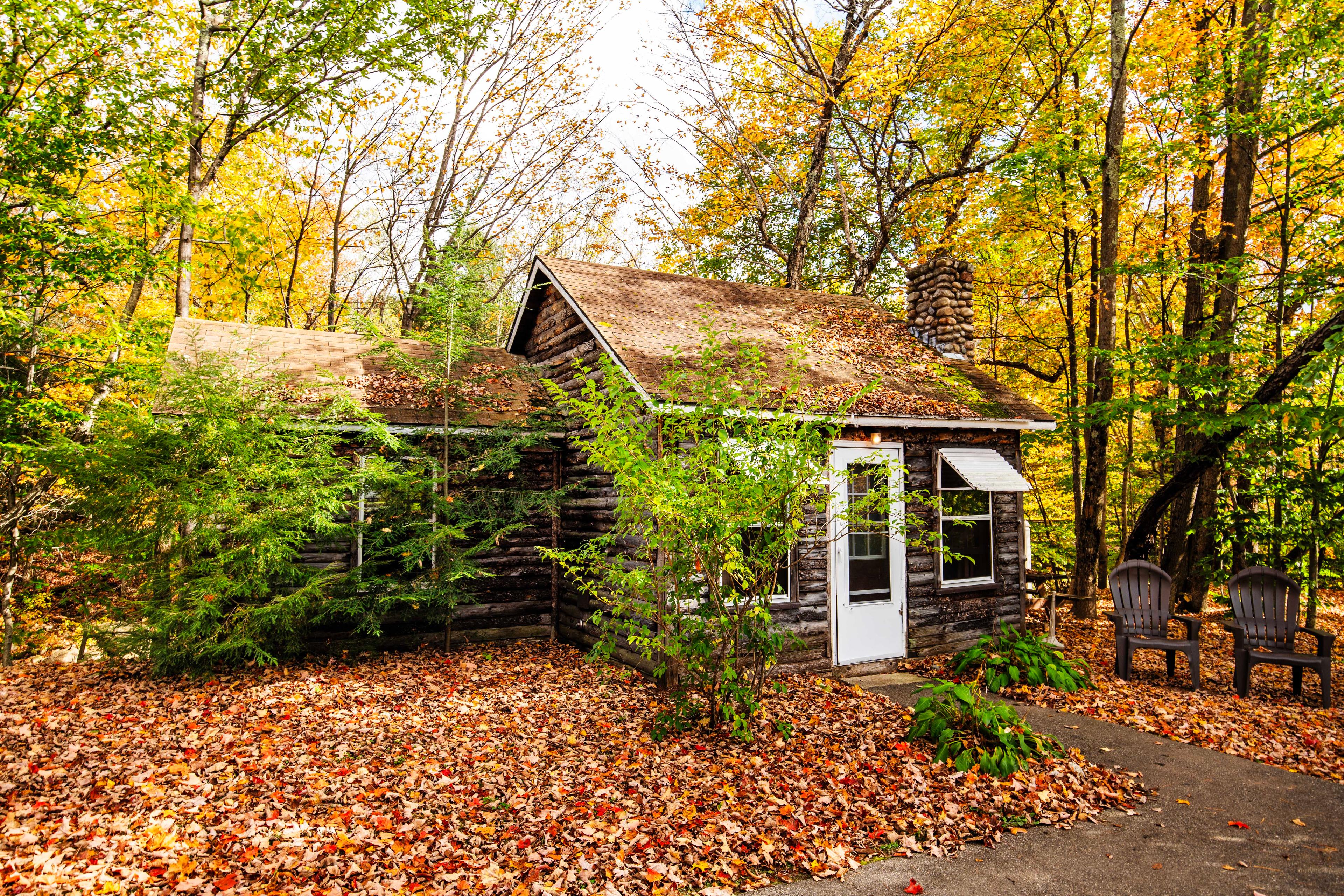 Riverfront cabin with all the comforts of home at The Bears Den. #PeacefulEscape #UnforgettableGetaway #CabinInTheWoods #PrivateRetreat