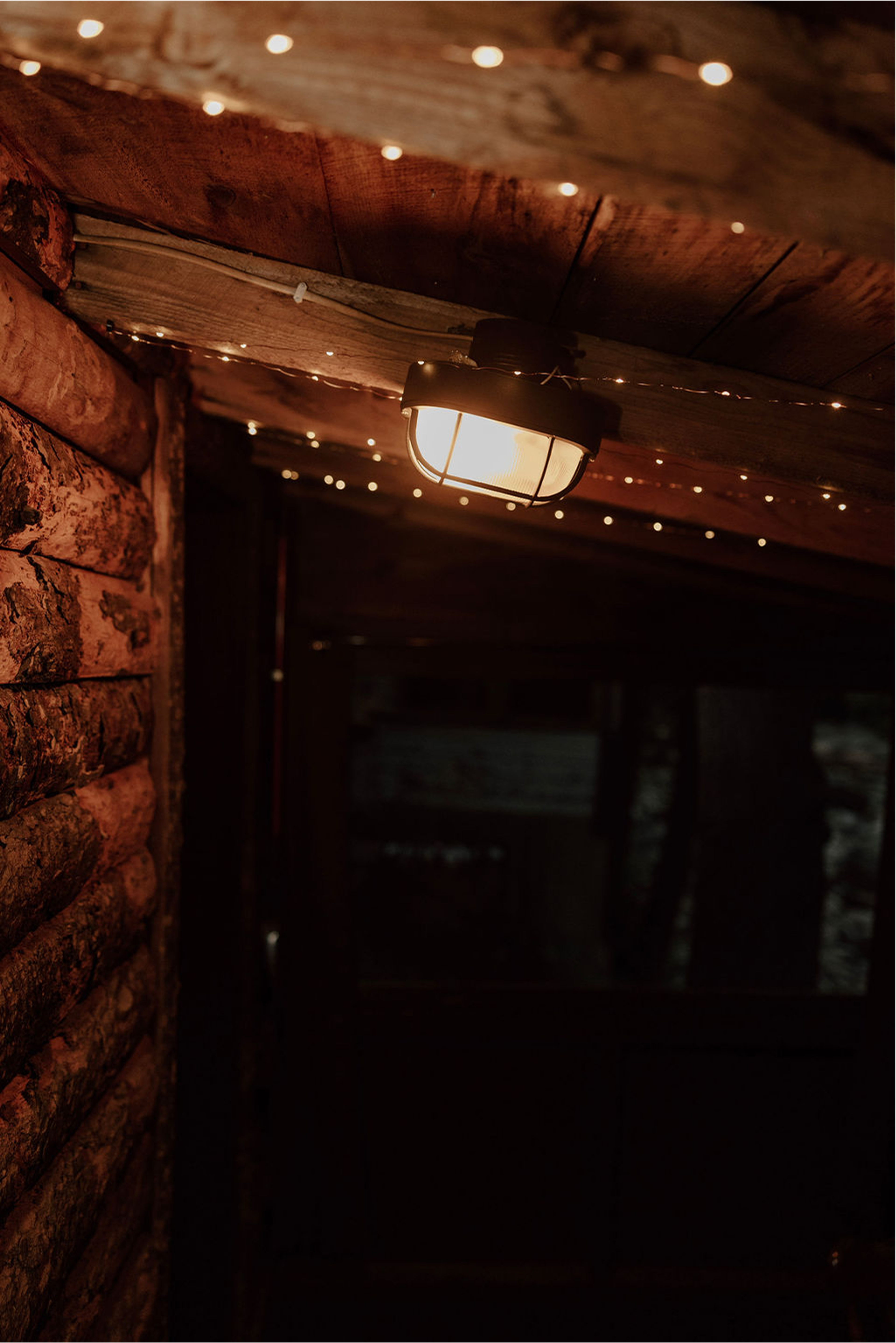 Cabin 5