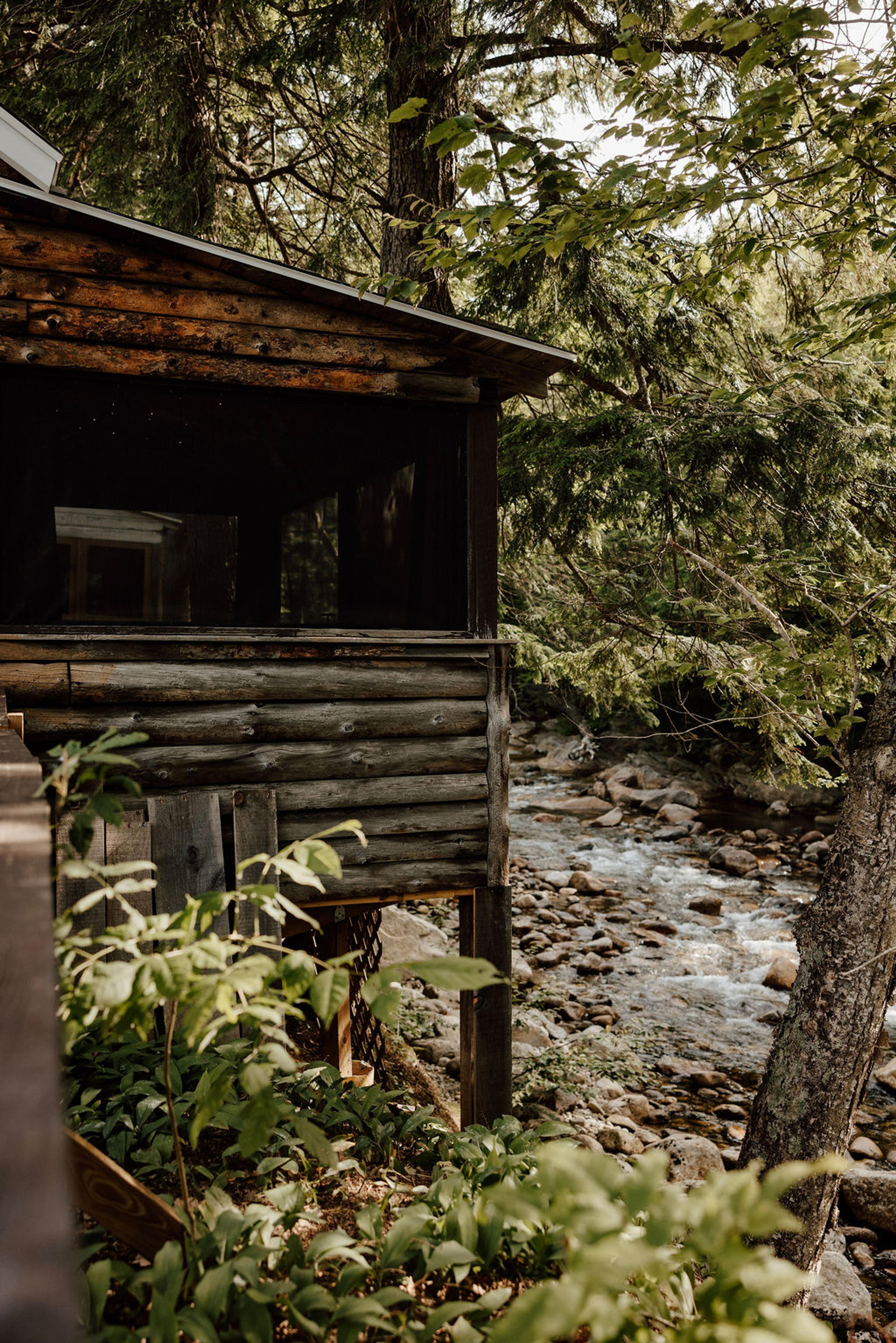 Cabin 5