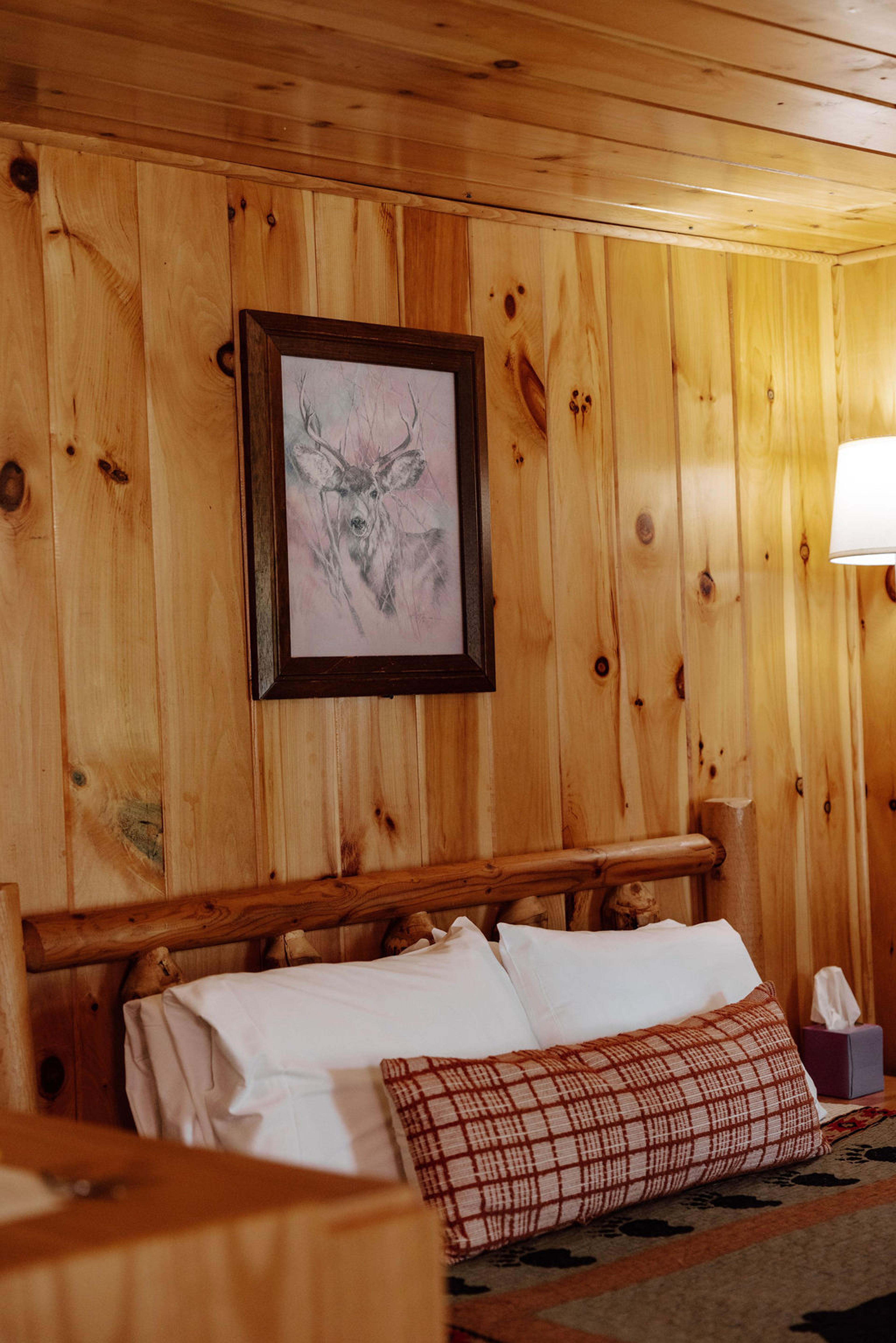Cabin 4