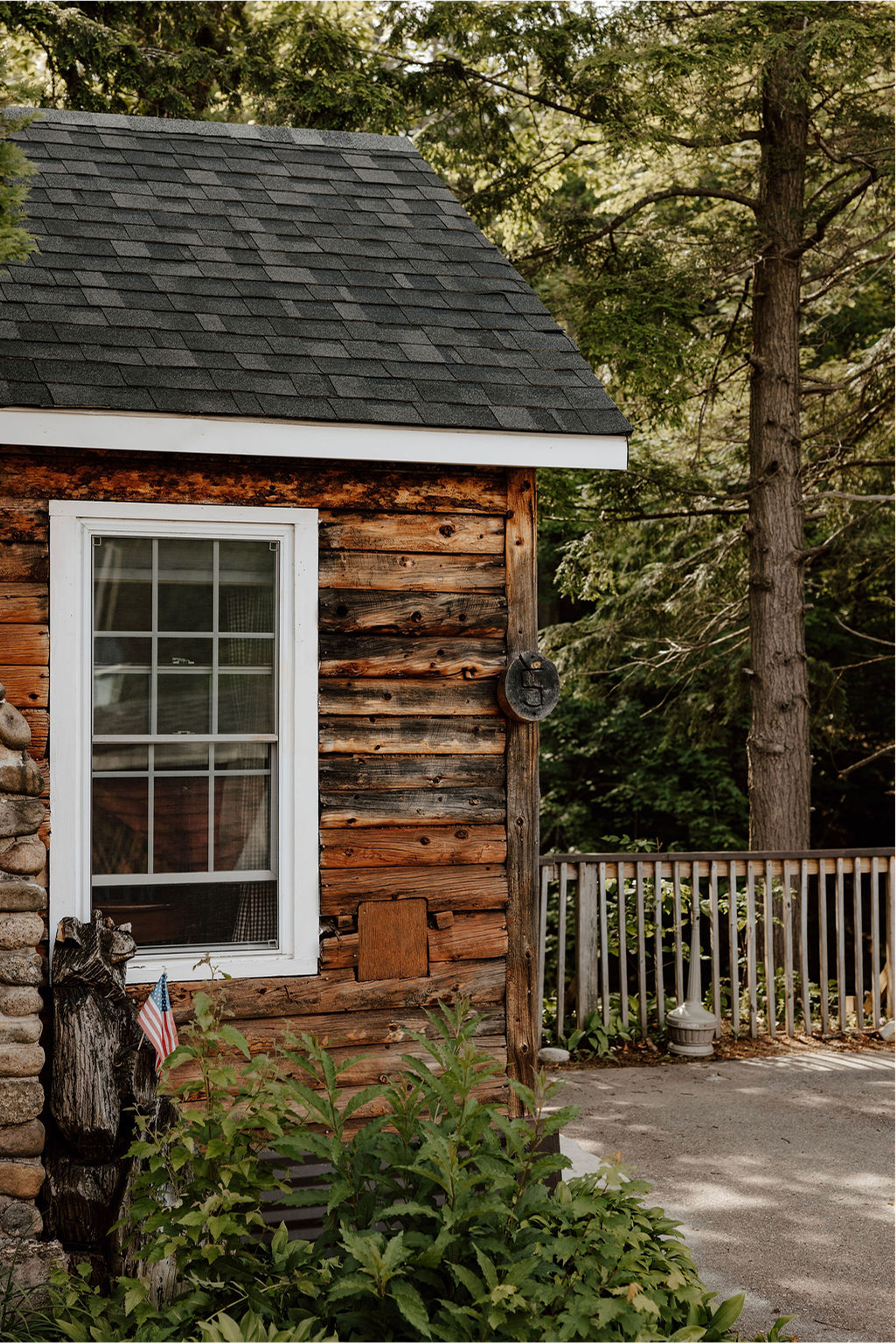Cabin 5