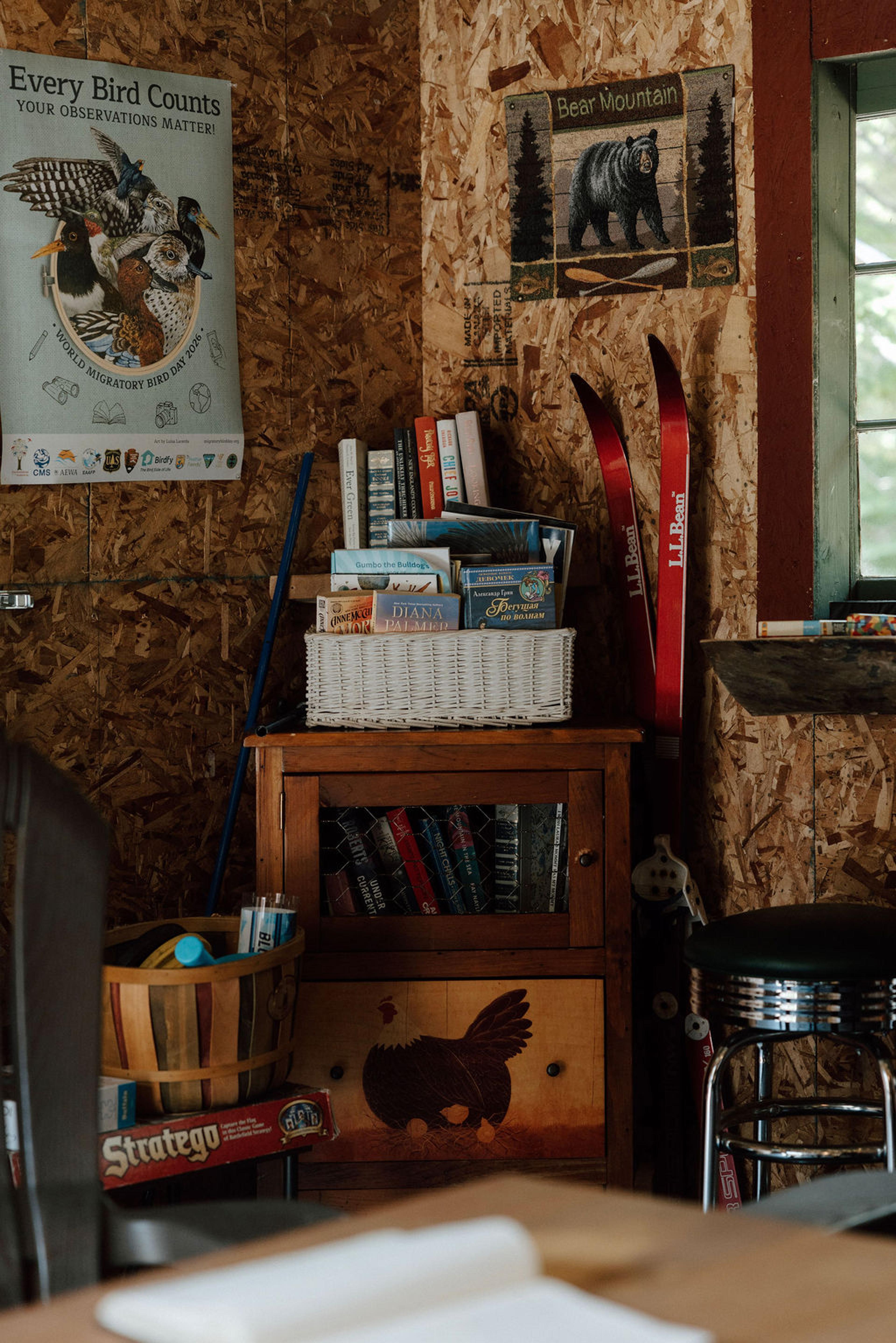 Cabin 4