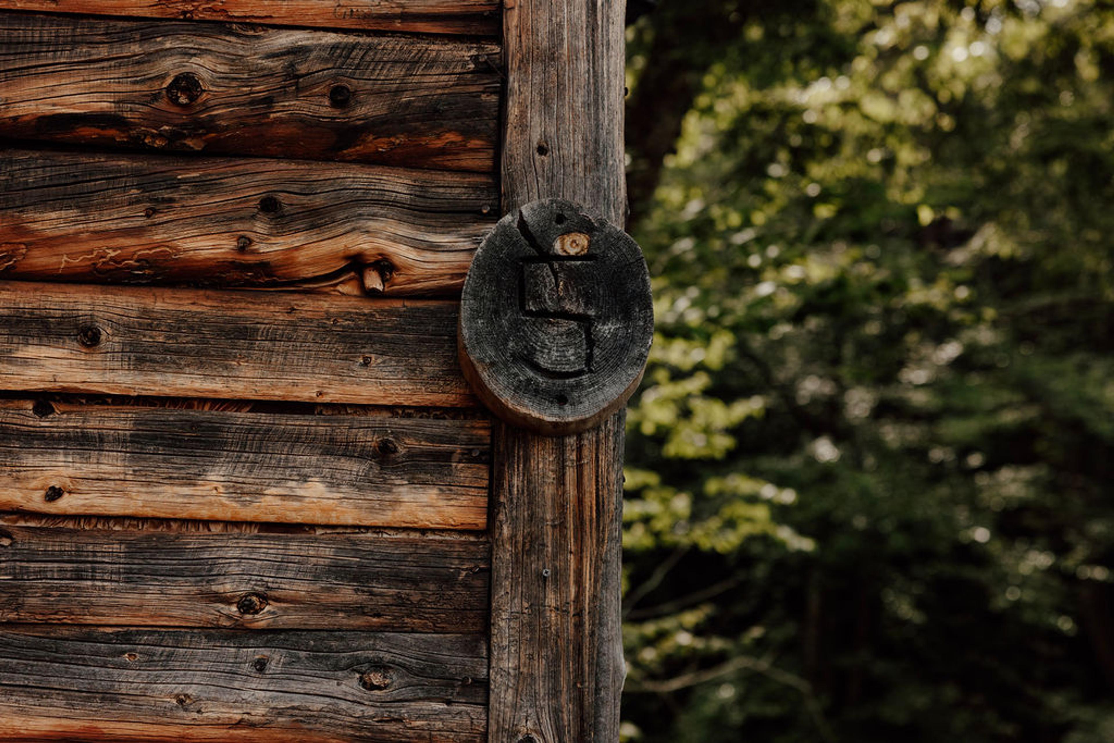 Cabin 5
