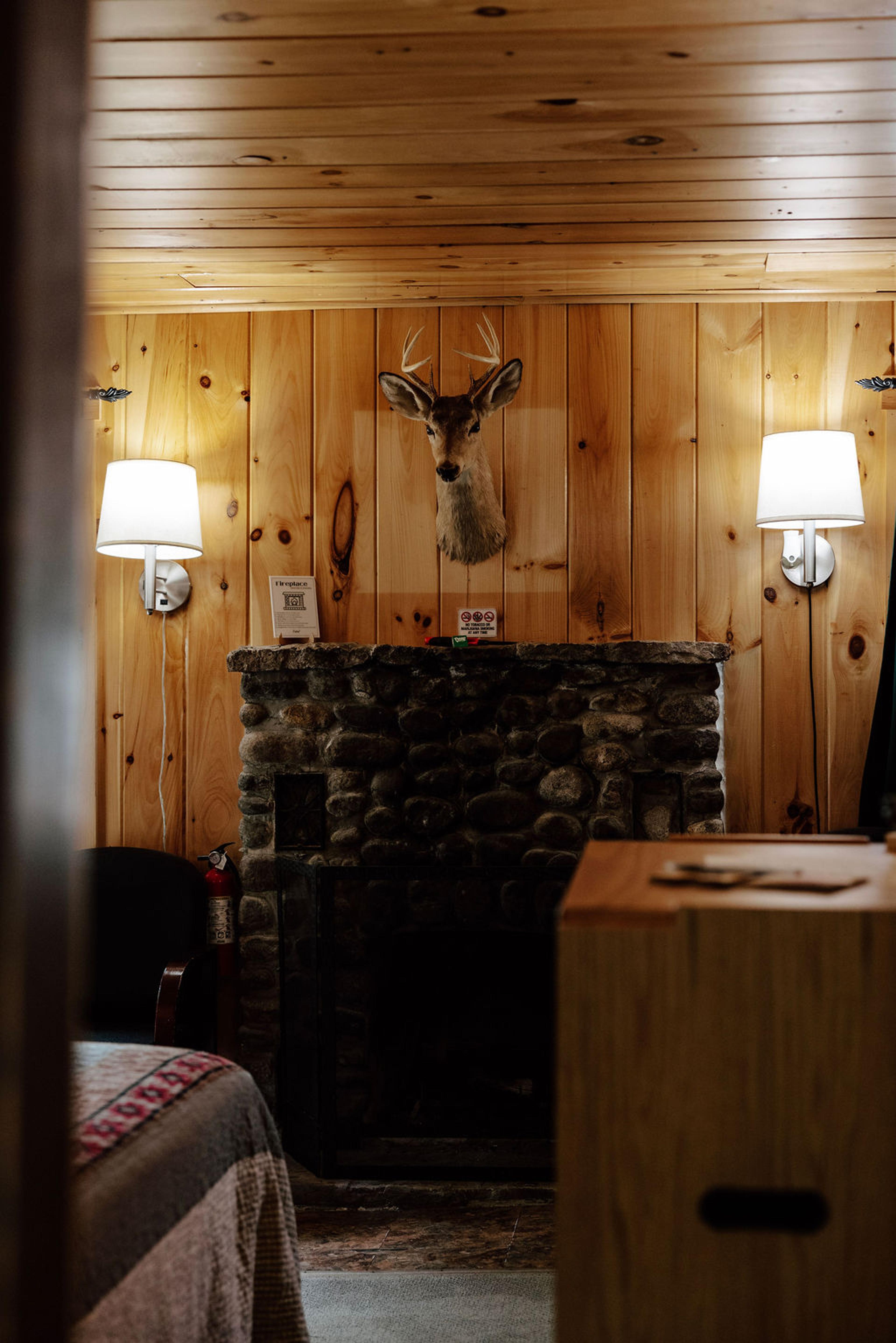 Cabin 4