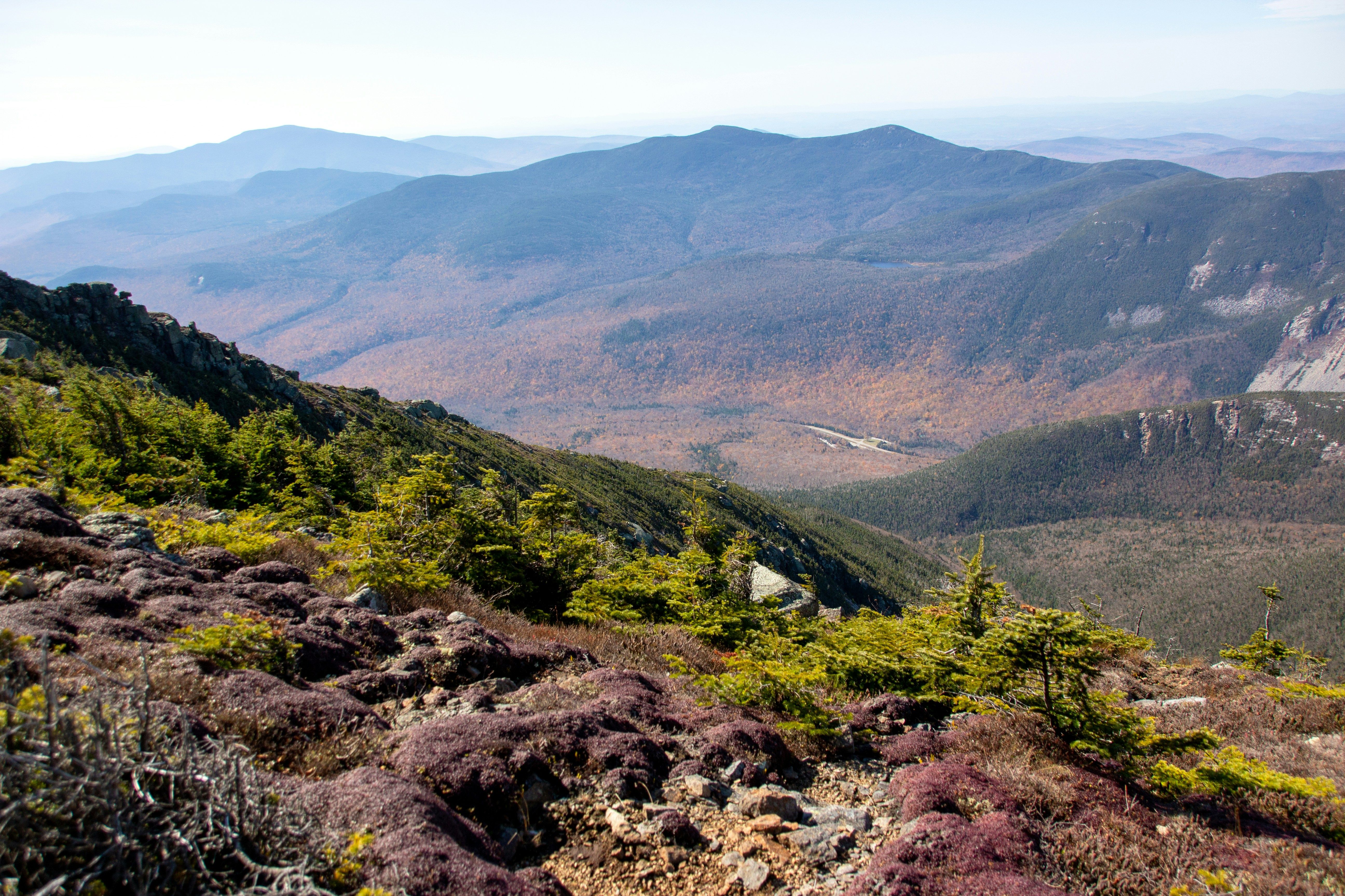 f34cdc49df9ee4fa97fbab328db602