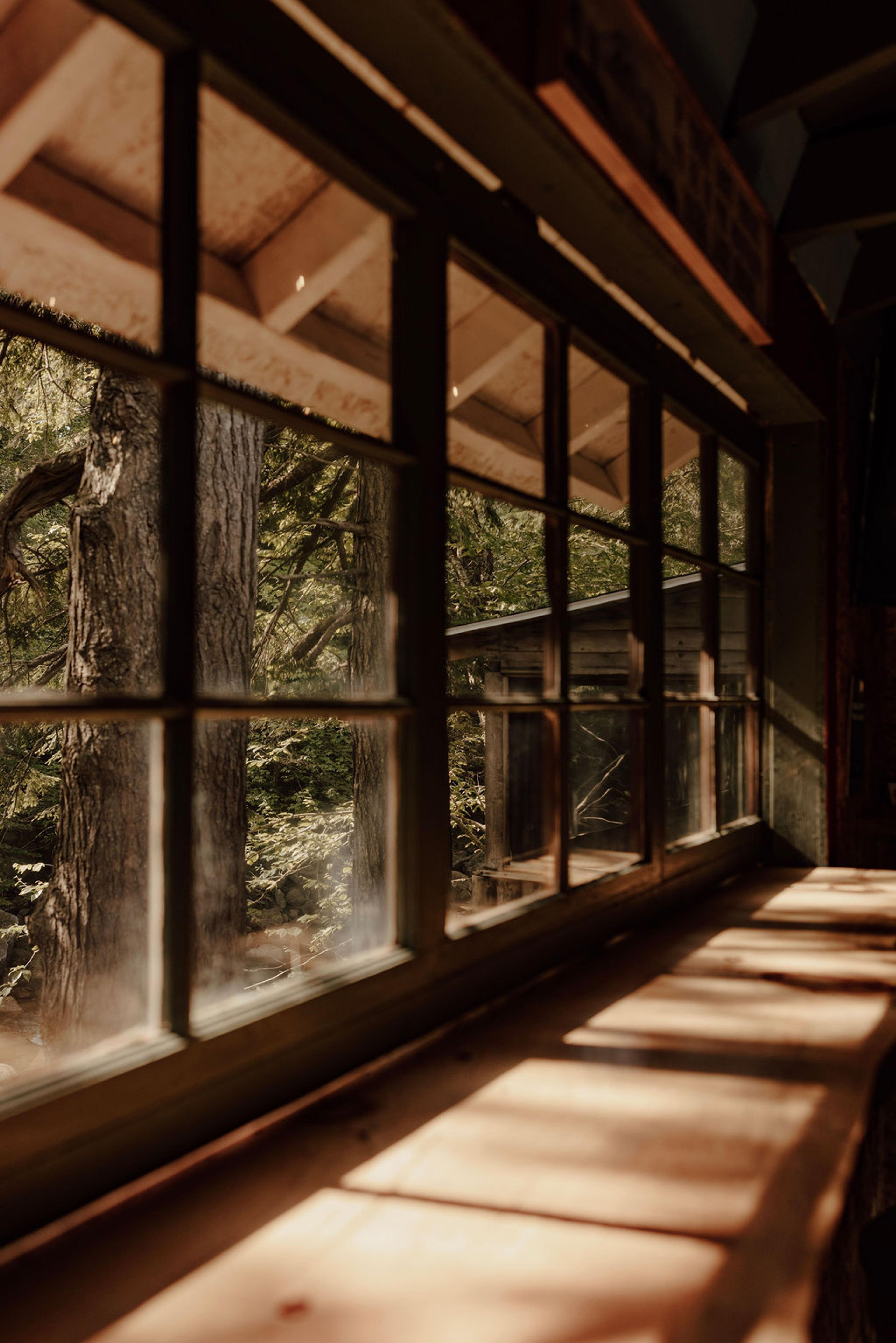 Cabin 4