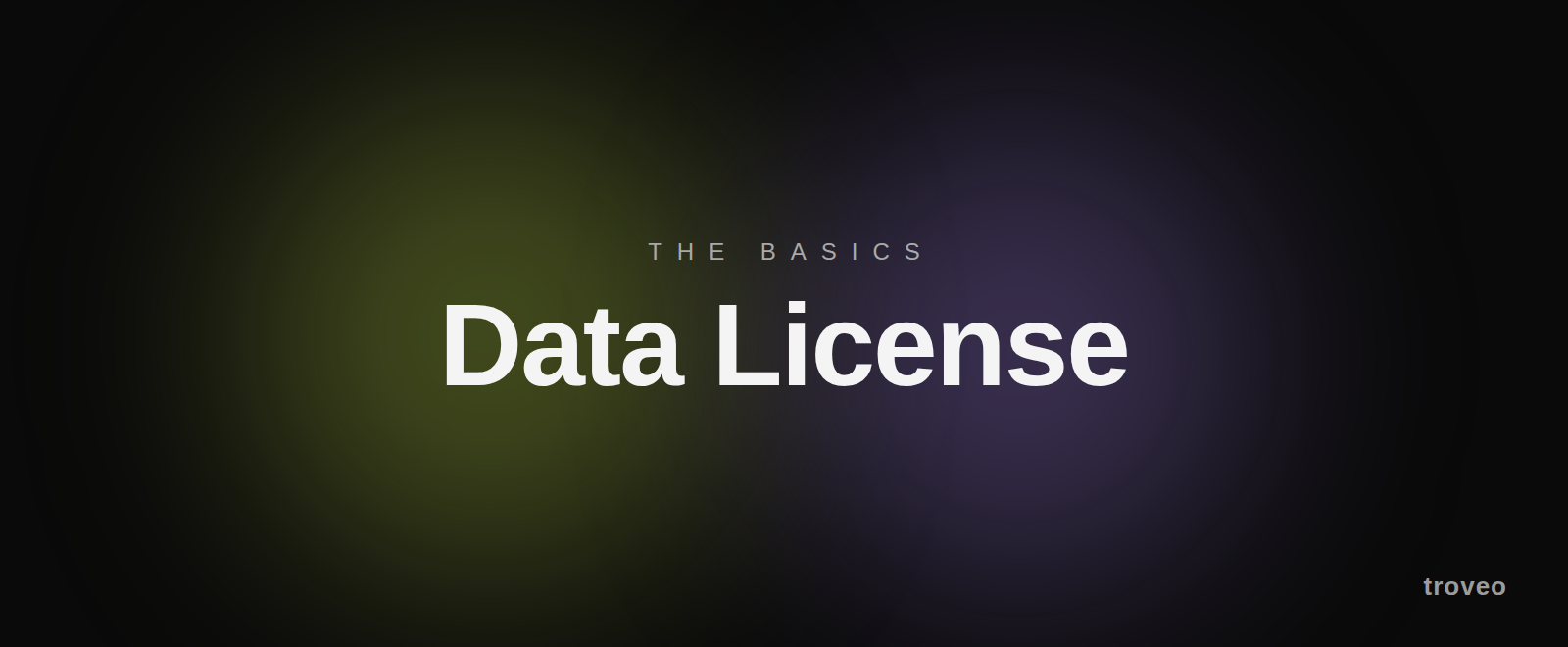 Article banner reading What Is a Data License, on how data licensing works