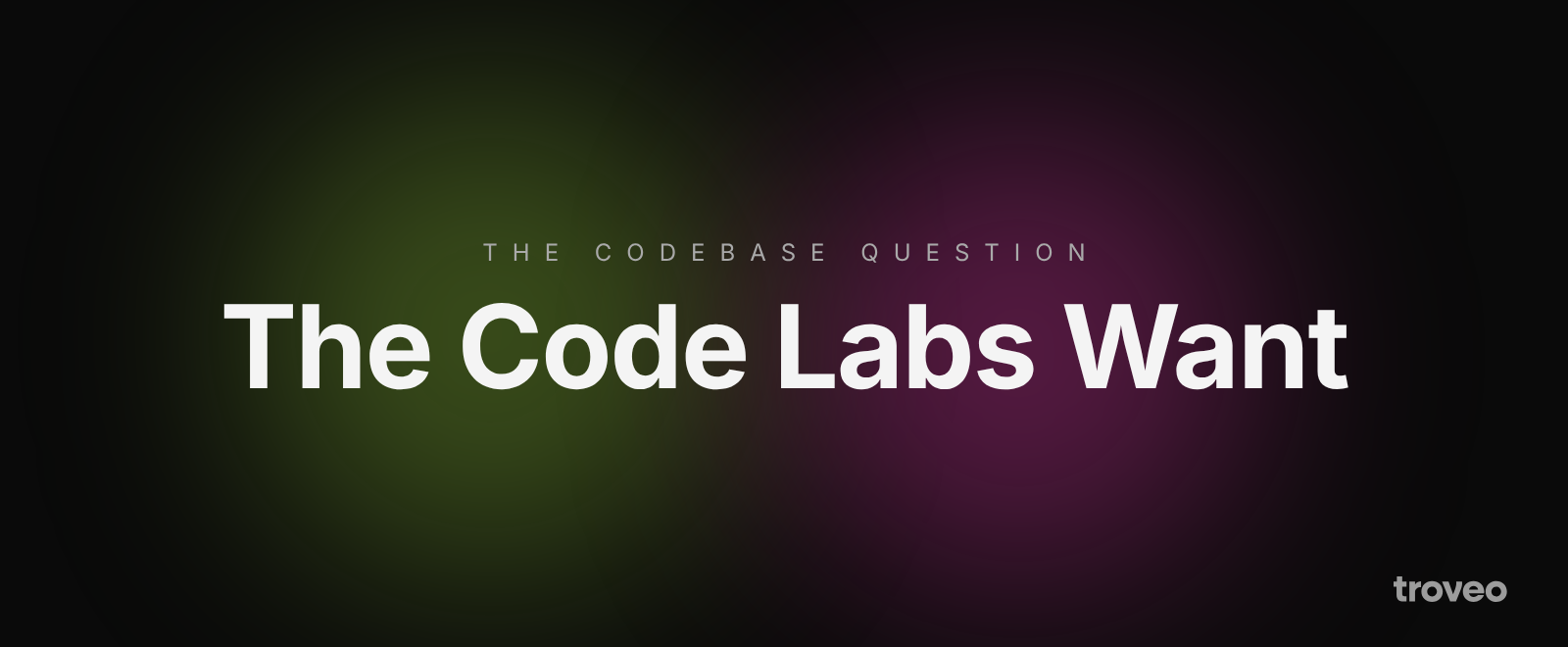 Article banner reading The Code Labs Want, on what kind of code AI labs pay for