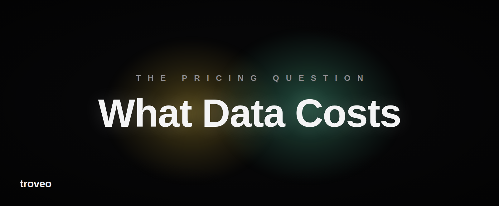 Article banner reading What Data Costs, on AI training data pricing