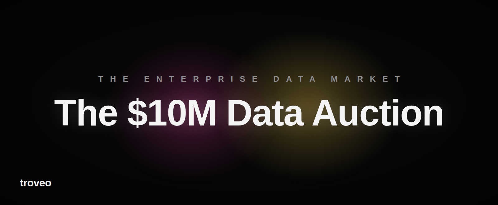 Article banner reading The $10M Data Auction, on the Spirit Airlines enterprise data sale
