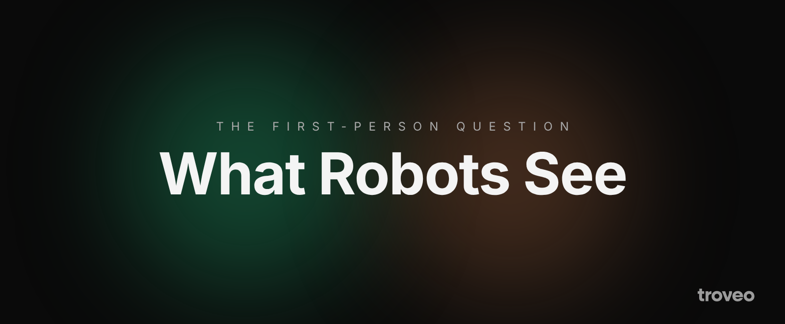 Article banner reading What Robots See, on egocentric video data for AI training