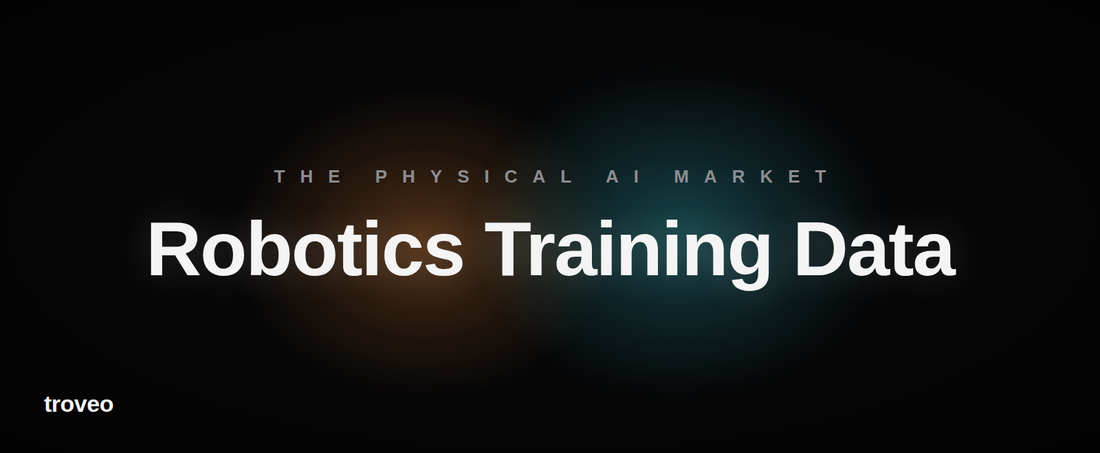 Article banner reading Robotics Training Data, comparing physical AI data companies