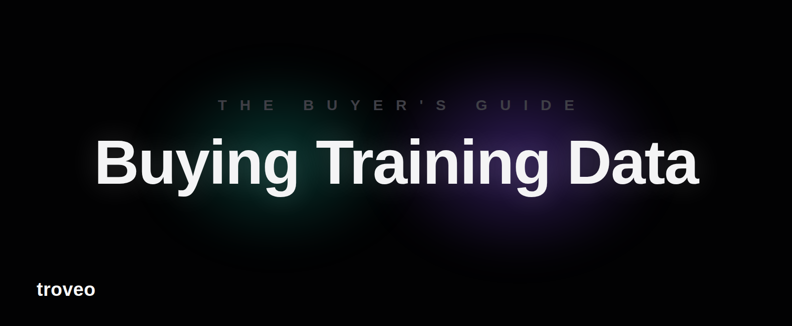 Article banner reading Buying Training Data, a guide to buying AI training data