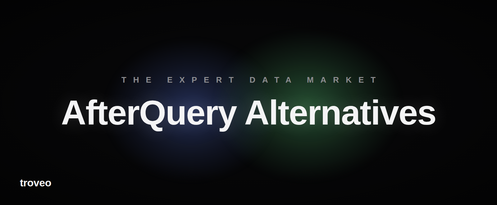 AfterQuery Alternatives in 2026: The Benchmarked Expert Data Field