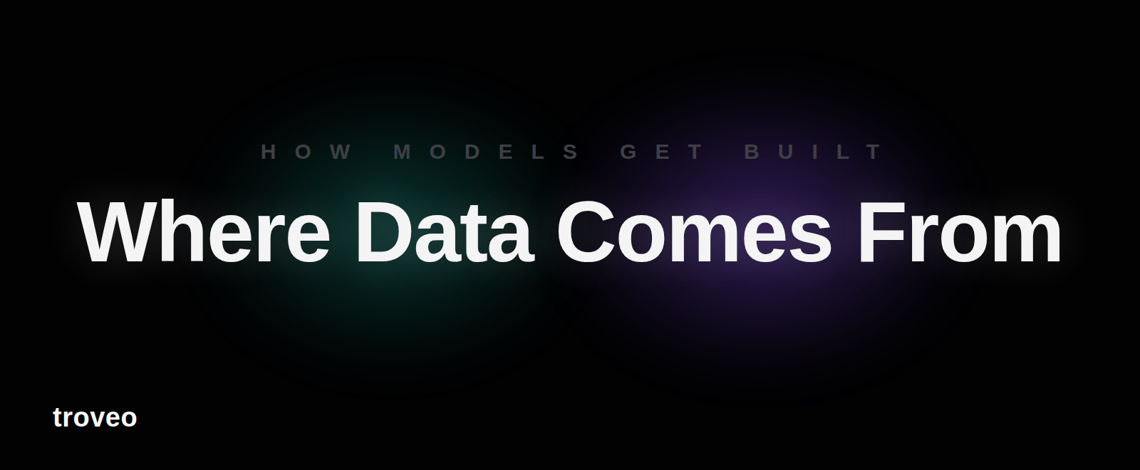 Article banner reading Where Data Comes From, about how AI labs source training data