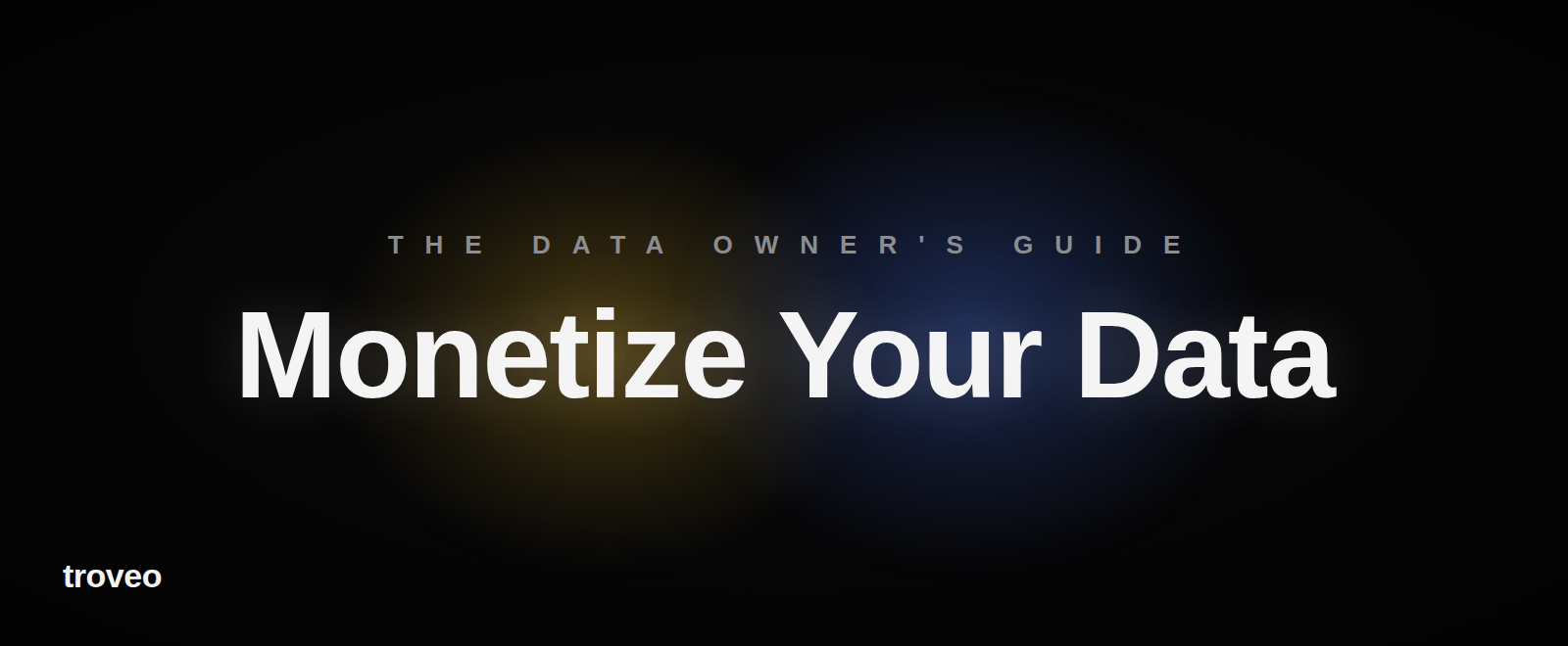 Article banner reading Monetize Your Data, on licensing company data for AI