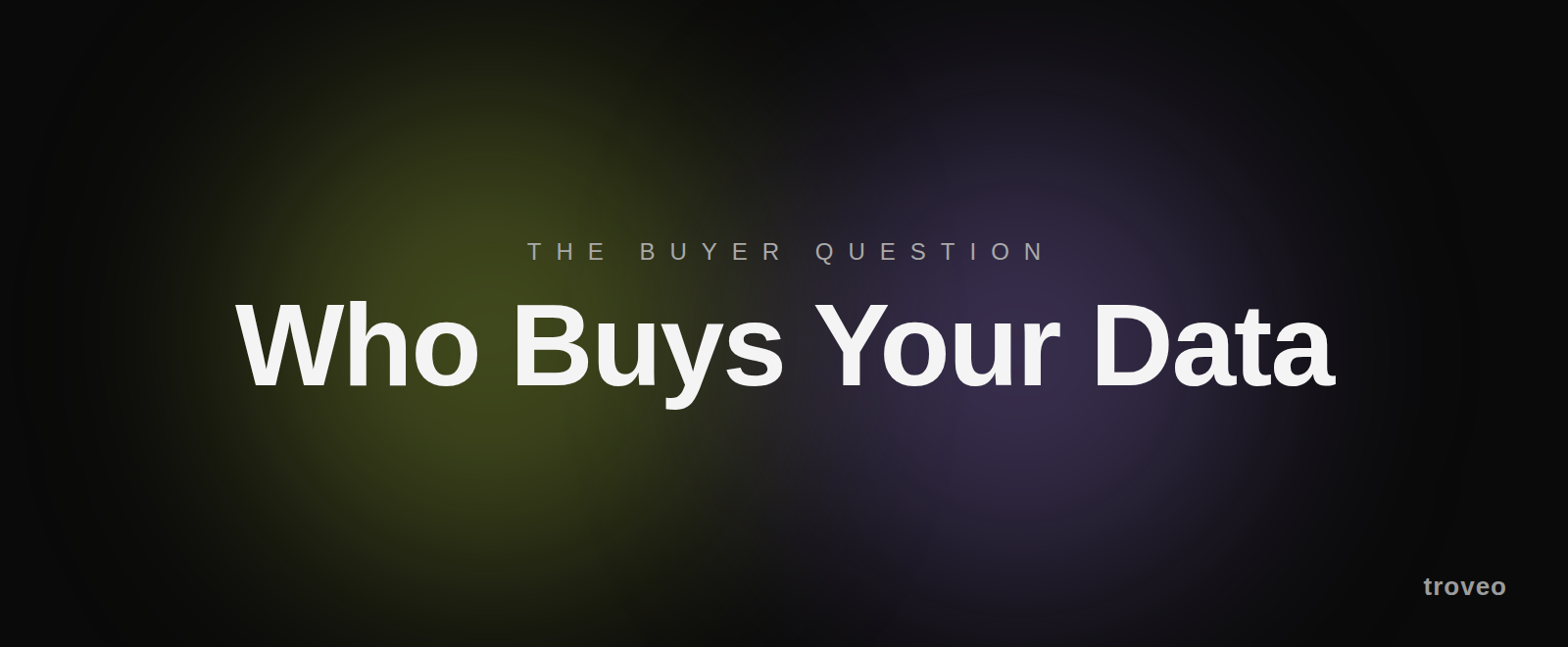 Article banner reading Who Buys Your Data, on who buys company data for AI training