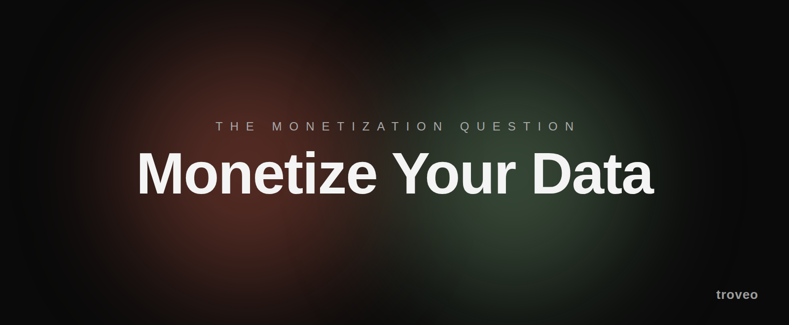 Article banner reading Monetize Your Data, on data monetization examples and how companies turn their data into revenue