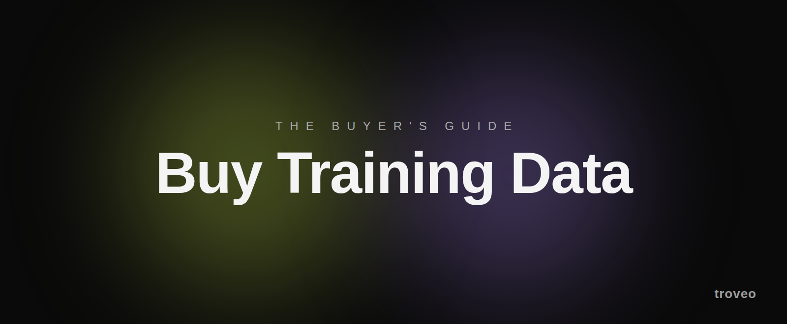 Article banner reading Buy Training Data, a guide to where and how to buy AI training data