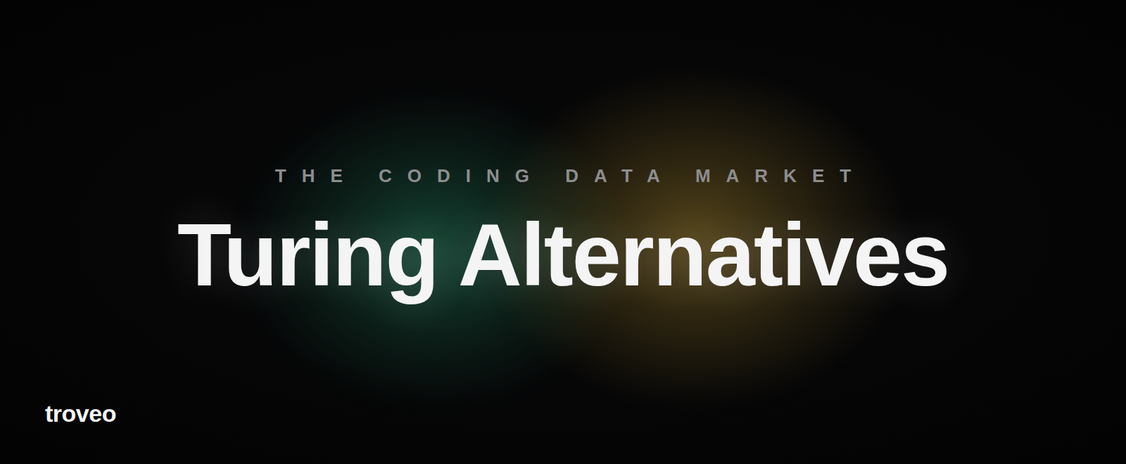 Article banner reading Turing Alternatives, comparing expert data vendors