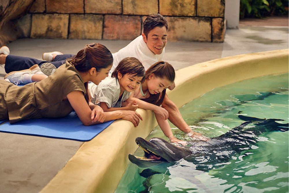Dolphin Exploration + Oceanarium - Fixed Date / Time