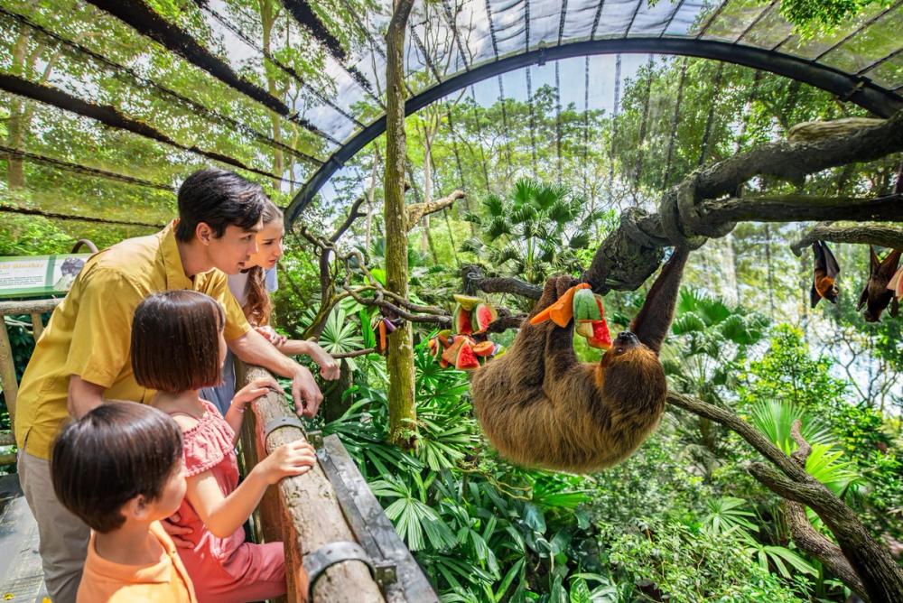 Zoo with Tram - Fixed Date