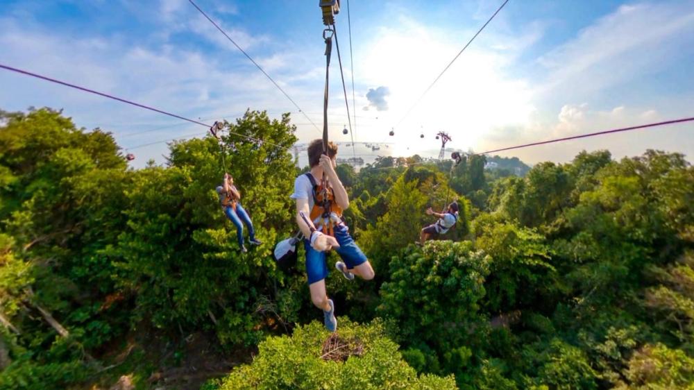 Mega Zip, Climb & Jump
