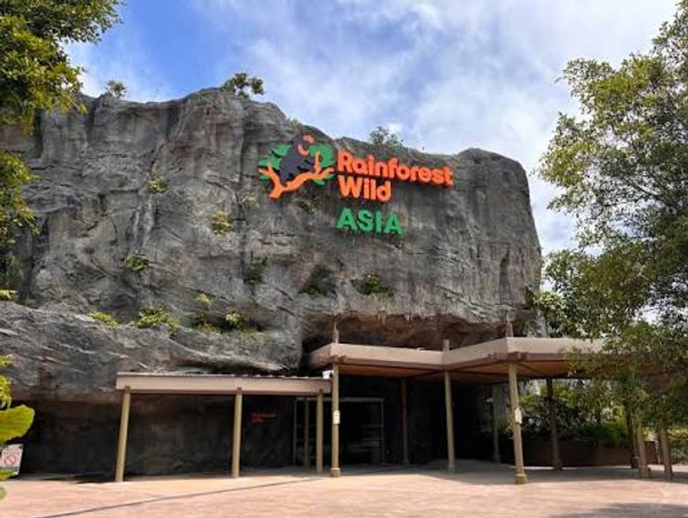 Rainforest Wild Asia - Fixed Date / Time