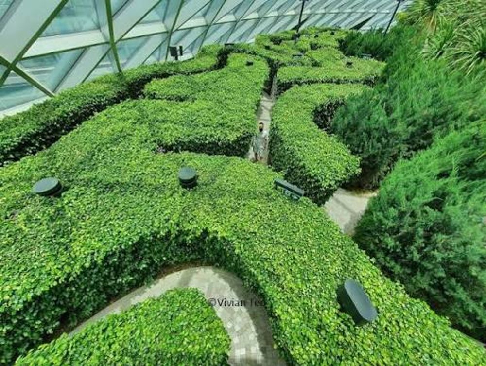 Hedge Maze ( Includes Canopy Park )