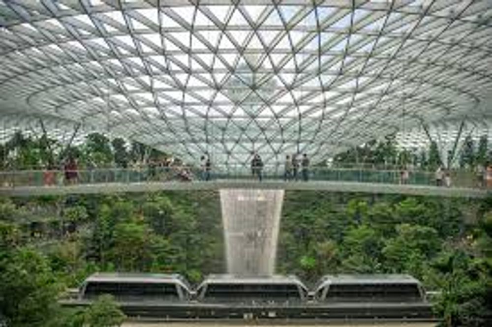 Canopy Bridge ( Includes Canopy Park )