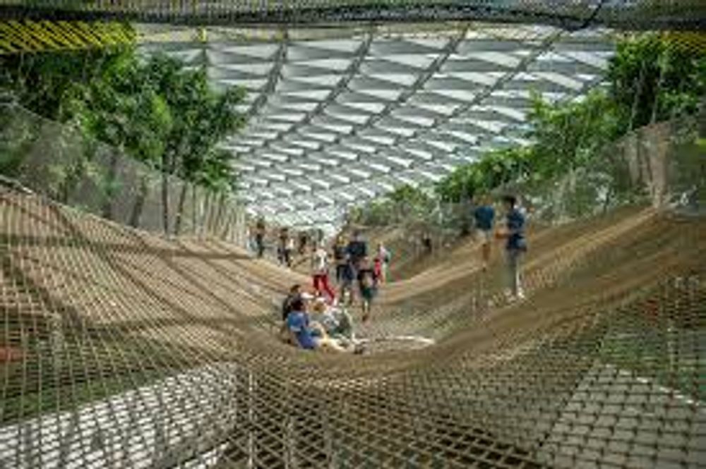 Walking Net (Includes Canopy Park )
