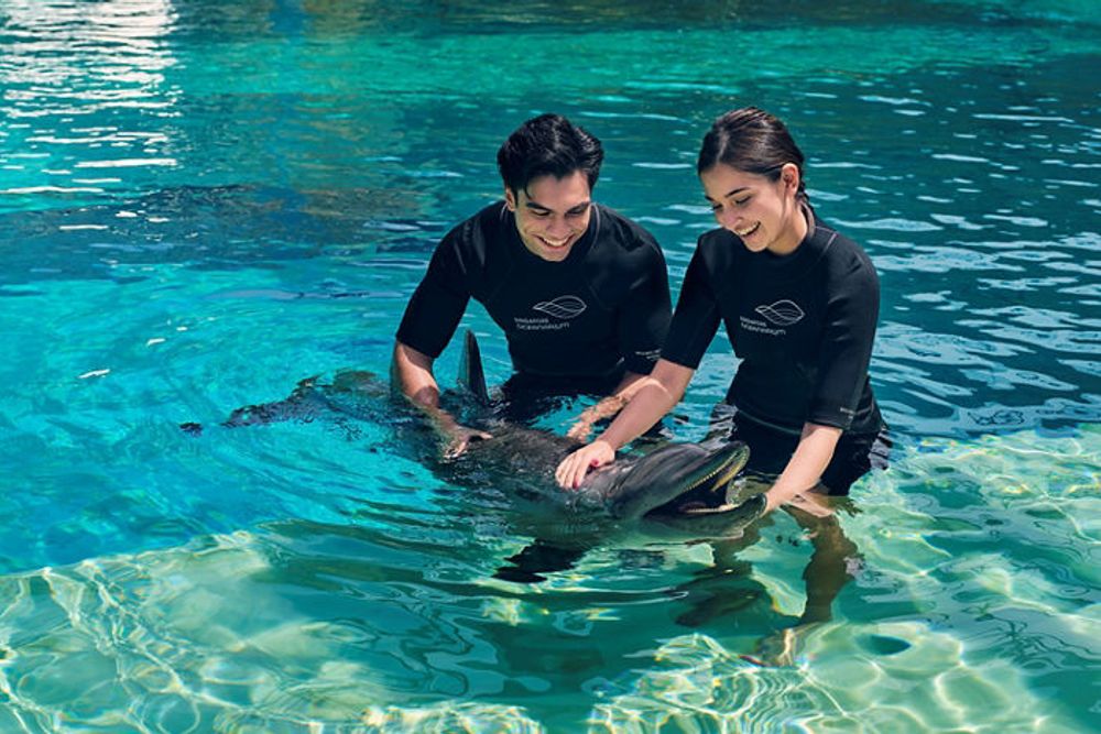 Dolphin Immersion + Oceanarium - Fixed Date / Time