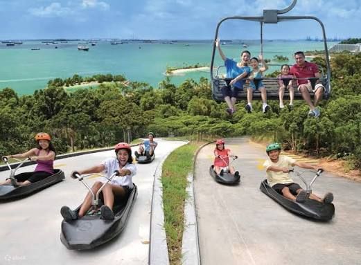 SkyLine Luge - Peak ( 3 rides )-Fixed Date/Time